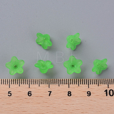 Transparent Acrylic Beads PL554-13-1