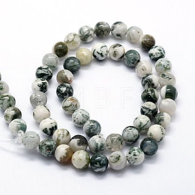 Natural Tree Agate Beads Strands G-I199-03-10mm-1