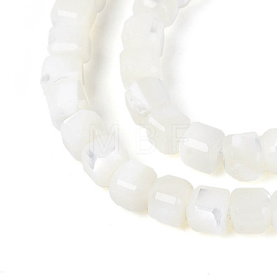 Natural Trochid Shell/Trochus Shell Beads Strands SSHEL-N041-04A-01-1