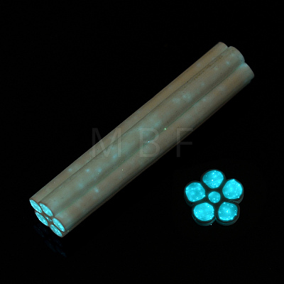 Luminous Handmade Polymer Clay Nail Art Decoration CLAY-T016-85G-1