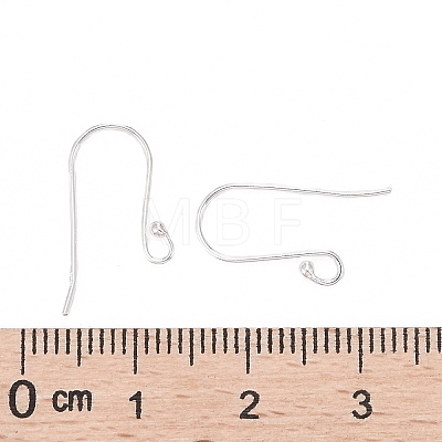 925 Sterling Silver Earring Hooks STER-G011-04-1