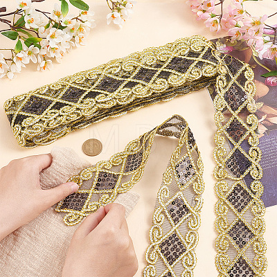   Polyester Embroidery Mesh Lace Ribbons OCOR-PH0002-43-1