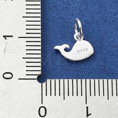925 Sterling Silver Charms STER-M119-09A-S-1