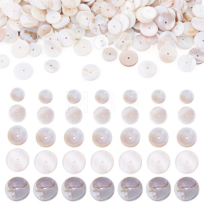 1 Strand 2 Styles Natural Freshwater Shell Beads Strands SHEL-TA0001-43-1