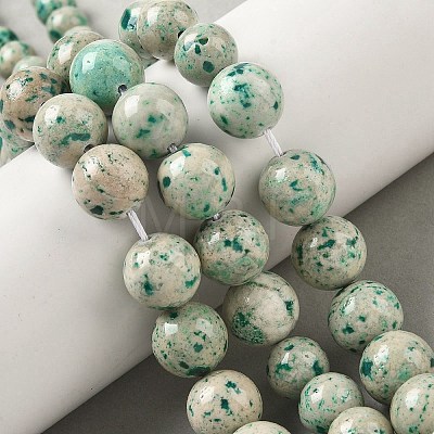 Natural Fossil Graduated Beads Strands G-F830-A03-01C-1