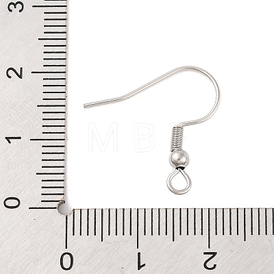 Tarnish Resistant 304 Stainless Steel Earring Hooks STAS-H011-1