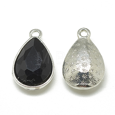 Alloy Glass Pendants PALLOY-T028-10x14mm-02-1