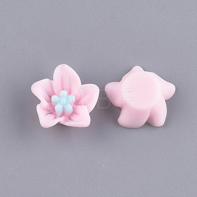 Resin Cabochons CRES-T010-29C-1