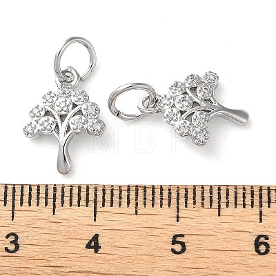 Rack Plating Brass Micro Pave Clear Cubic Zirconia Charms KK-D097-05P-1
