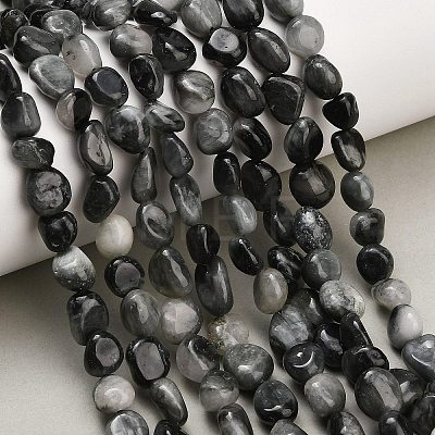 Natural Eagle Eye Stone Beads Strands G-D108-A02-03-1