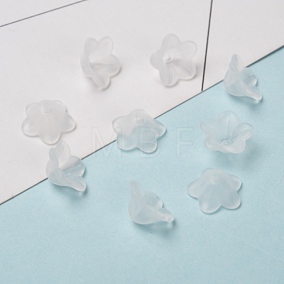 Transparent Acrylic Beads PL560-1-1