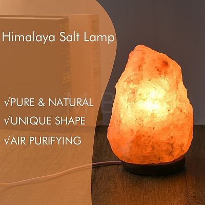 Natural Himalayan Rock Salt Lamp DJEW-P002-01B-1