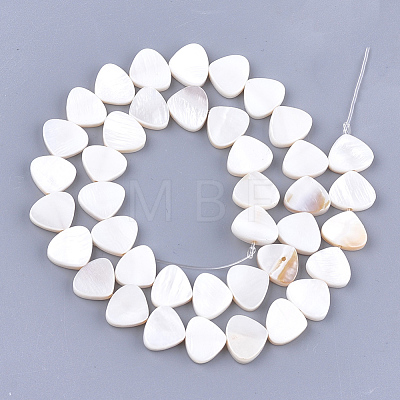 Freshwater Shell Beads Strands X-SHEL-S276-16-1