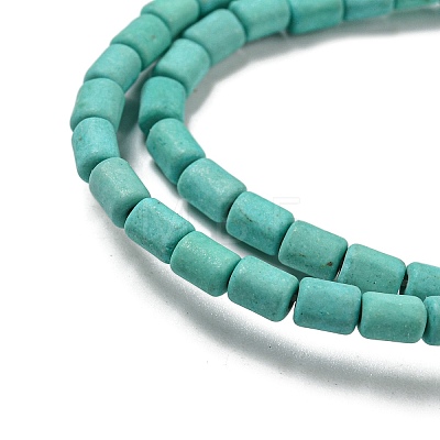 Dyed Synthetic Turquoise Beads Strands G-G075-A02-01-1