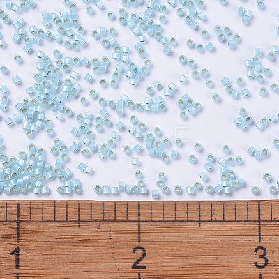 MIYUKI Delica Beads SEED-J020-DB0628-1