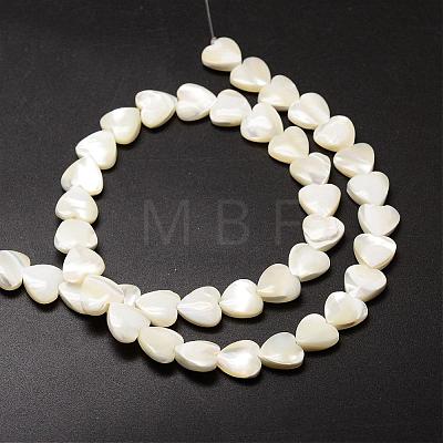 Natural Trochid Shell/Trochus Shell Beads Strands SSHEL-K012-05-1