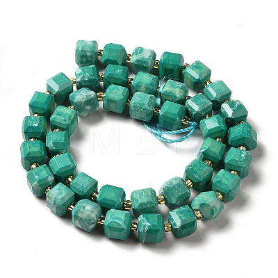 Natural Howlite Beads Strands G-C025-01A-1