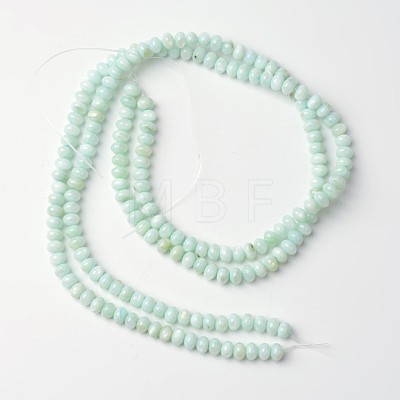 Dyed Natural Freshwater Shell Rondelle Bead Strands BSHE-O016-19B-1