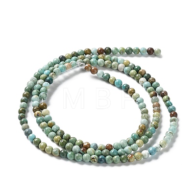 Natural HuBei Turquoise Beads Strands G-M411-A01-02-1