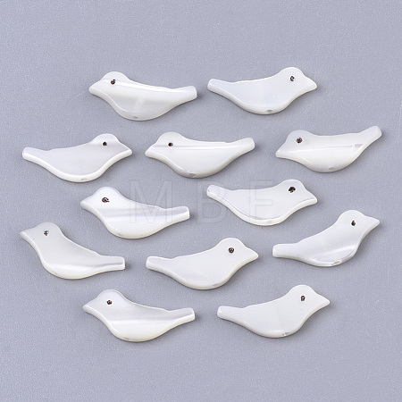 Natural Trochid Shell/Trochus Shell Beads SSHEL-T014-05-1