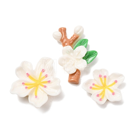 Opaque Resin Cabochons CRES-A064-01A-1