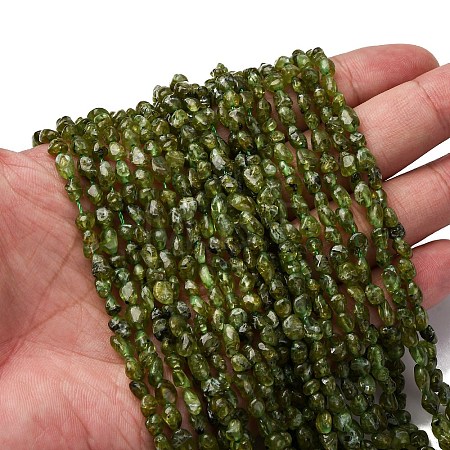 Natural Peridot Beads Strands G-I389-A27-1