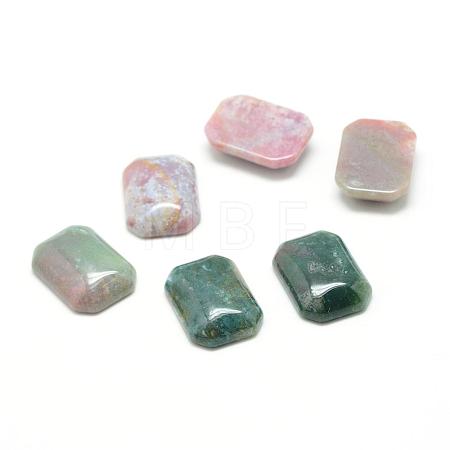 Natural Indian Agate Gemstone Cabochons G-T028-18x25mm-06-1