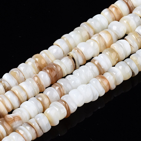 Natural Freshwater Shell Beads Strands SHEL-T018-28-1