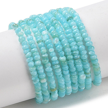 Natural Freshwater Shell Beads Strands SHEL-P017-01A-03-1