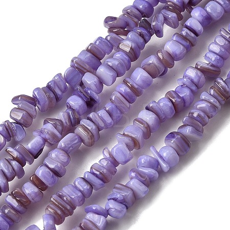 Natural Freshwater Shell Beads SHEL-B003-01L-1