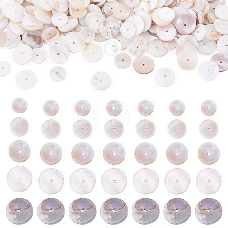 1 Strand 2 Styles Natural Freshwater Shell Beads Strands SHEL-TA0001-43-1
