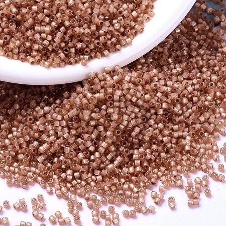 MIYUKI Delica Beads X-SEED-J020-DB2172-1