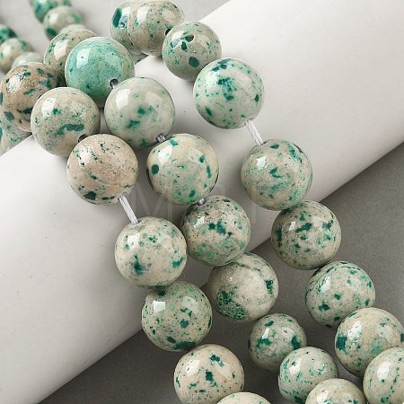 Natural Fossil Graduated Beads Strands G-F830-A03-01C-1