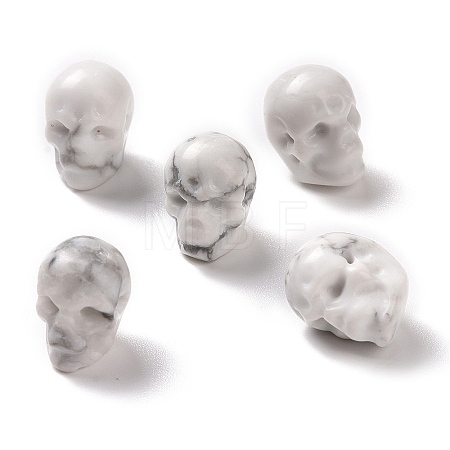 Natural Howlite Beads G-C038-01J-1