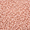 6/0 Glass Seed Beads SEED-T005-14-B02-3