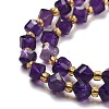 Natural Amethyst Beads Strands G-P463-23-4