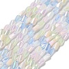 Electroplate Glass Beads Strands EGLA-P065-01A-2