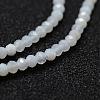 Natural Blue Chalcedony Bead Strands G-P270-2mm-01-3