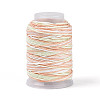 35M Segment Dyed Macrame Cotton Cord OCOR-T017-06B-1
