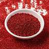 MIYUKI Round Rocailles Beads X-SEED-G009-RR0010-2