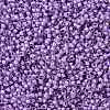 TOHO Round Seed Beads SEED-JPTR15-0943-2