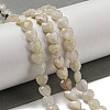 Natural Rainbow Moonstone Beads Strands G-P544-E06-01-2