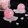 Tortoise Natural Selenite Crystal Ball Holders PW-WG56444-01-2