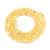 Natural Freshwater Shell Dyed Beads Strands SHEL-T020-29B-08-2