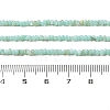 Natural Freshwater Shell Beads Strands SHEL-P017-01A-08-4