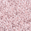 FGB Transparent Glass Seed Beads SEED-N013-01A-10-3