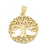 Brass Pendants KK-D317-114G-1