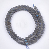 Natural Labradorite Beads Strands X-G-S333-6mm-035-2