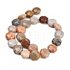 Natural Fossil Coral Beads Strands GG-CBA362F-01-3