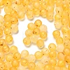 Frosted Transparent Acrylic Beads OACR-F013-13I-1